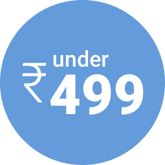 Under ₹499