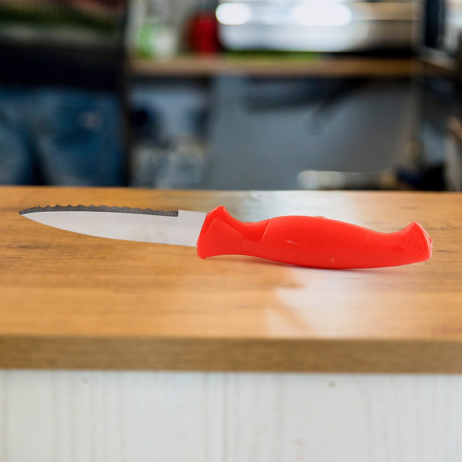 Stainless Steel Serrated Kitchen Knife (1 Pc)