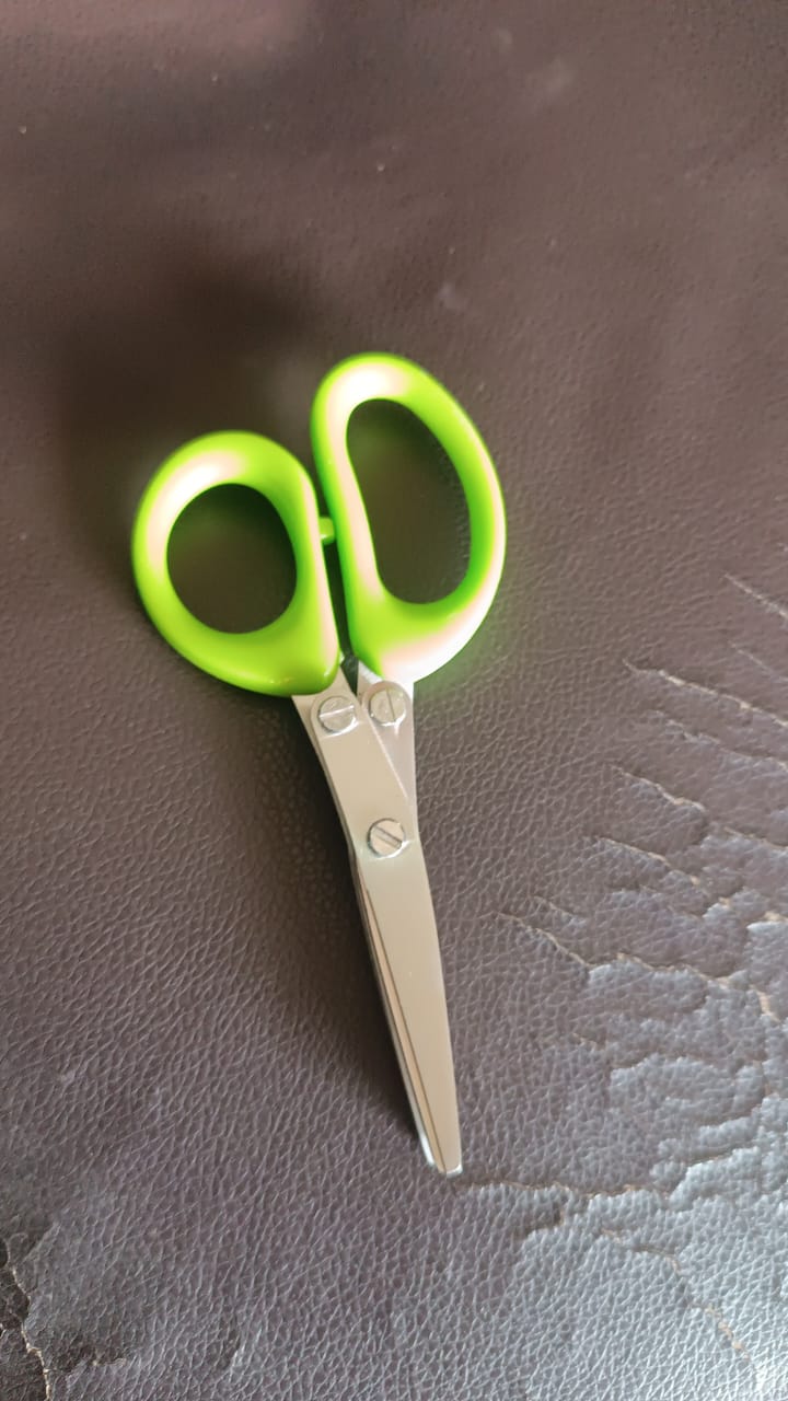 5-Blade Multipurpose Herb Scissors (1 Pc)